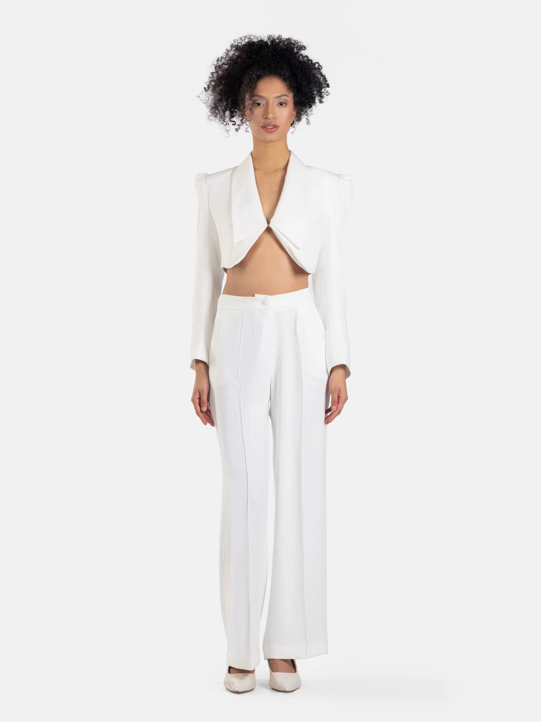Cascade Cropped Blazer and Palazzo Pants Set