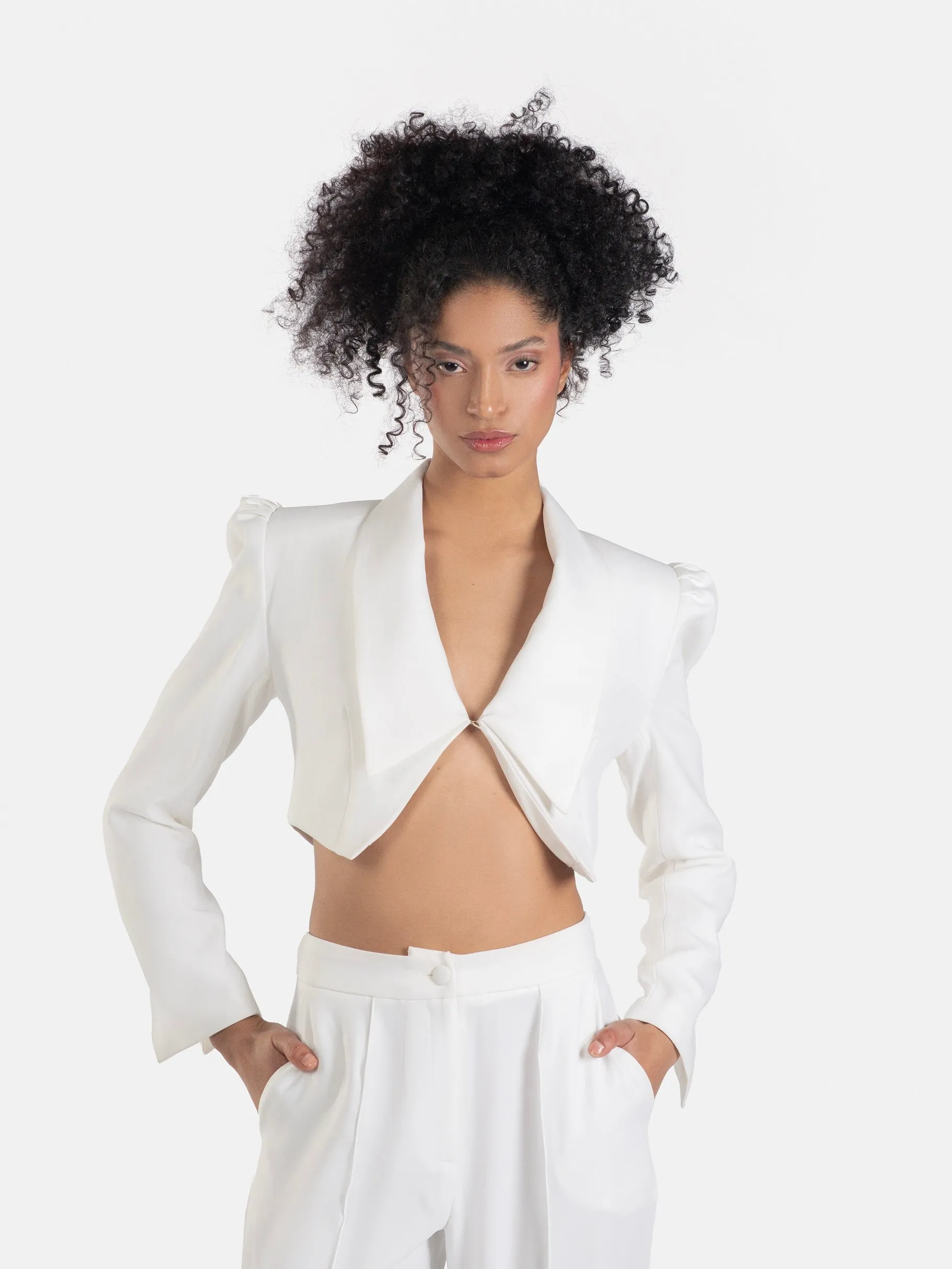 Cascade Cropped Blazer and Palazzo Pants Set